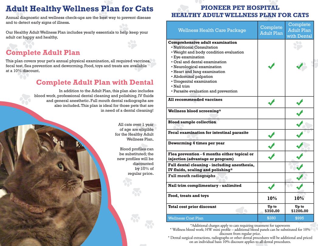 Wellness Packages – Pioneer Pet Hospital